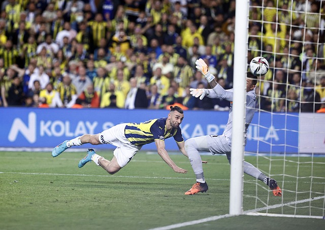 上显得办法 上显得办法