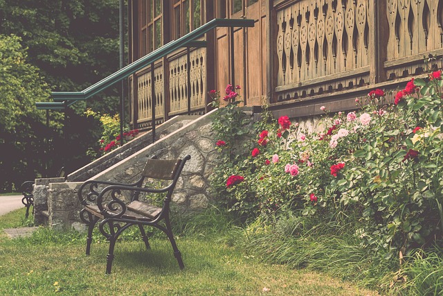 展望未来 展望未来