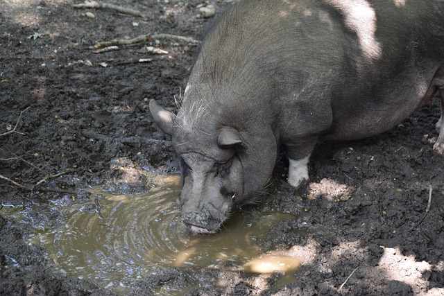 涯的结束 涯的结束